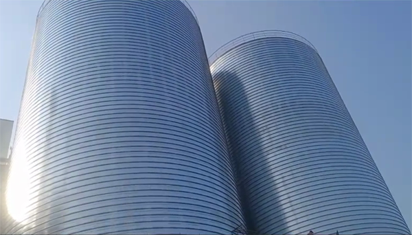 奈曼2座混凝土高架卷板仓